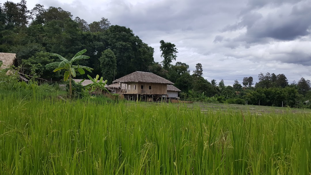 Traditional Thai village and countryside